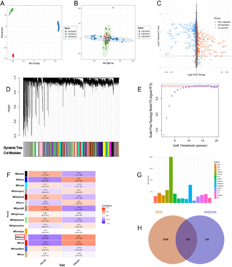 Identification of HTN-related target genes. A, B PCA plots for the GSE234085, GSE236442, and GSE308365 datasets before and after batch correction. C Volcano plot of differentially expressed genes (DEGs); red indicates upregulated DEGs, blue indicates downregulated DEGs, and gray indicates non-differentially expressed genes. D WGCNA gene dendrogram showing hierarchical clustering by co-expression, with module colors displayed at the bottom. E Scale independence analysis; the red horizontal line denotes the threshold. F Module–trait relationship heatmap depicting correlations between specific modules and HTN; numbers in the boxes are the correlation coefficients and P values. G The gene count statistics of the module. H Venn diagram showing the overlap between DEGs (orange) and WGCNA module genes (purple)