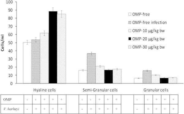 Effects of different dosages of intramuscular administration of OMP andV. harveyiinfections on differential haemocyte count (DHC). Data are represented as mean ± S.D. (n = 10). It indicates significant differences (P < 0.05) among five treatments determined by one-way ANOVA.