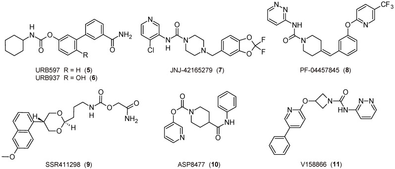 The 2D structures of selected FAAH inhibitors.