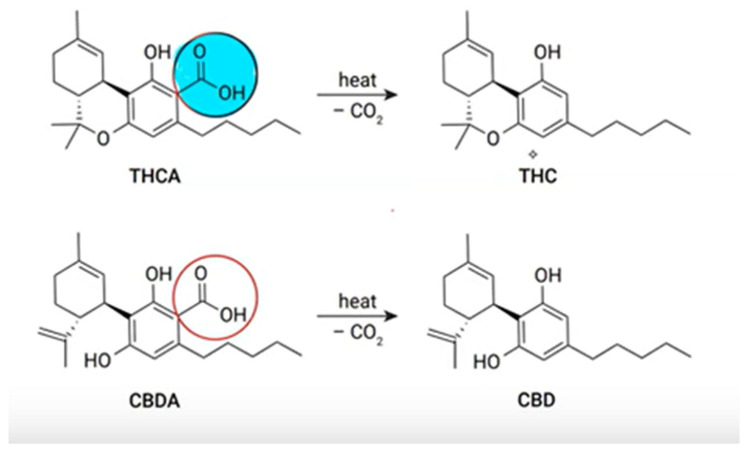 Activation of tetrahydrocannabinolic acid (THCA) and cannabidiolic acid (CBDA) by decarboxylation caused by heat resulting in psychoactive compound THC and non-psychoactive cannabinoid.
