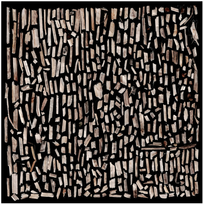 Sample scan of 3 g of hemp shives arranged on a 180 × 180 mm surface.