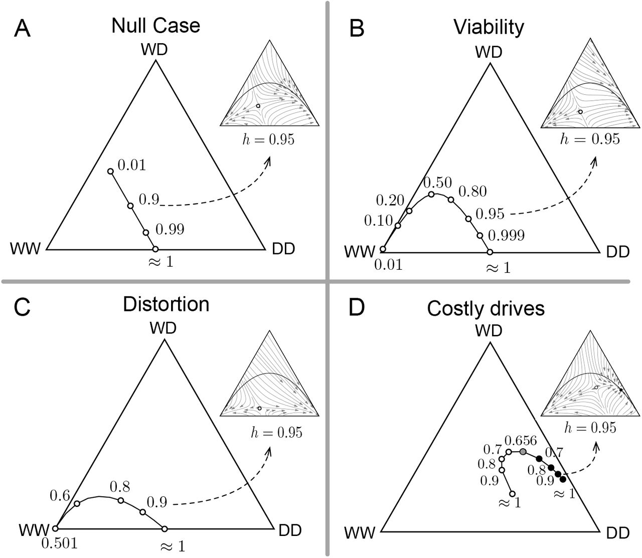 Effect of mate-choice bias (h) on the internal fixed point of the population dynamics without (null case) and with gene drives system based on viability selection (Medea), distortion and when they are costly.Fixed points appear in the interior of the de Finetti diagrams when the fitnesses of all the genotypes are the same. Open circles denote unstable fixed points of the dynamics, while closed black circles denote stable fixed points. The gray circle denotes the bifurcation point where both unstable and stable points emerge. The position of these fixed points changes with mate-choice bias (h) and hence the overall population dynamics, including the release threshold. Solid black lines show the trajectory of these fixed points for varying mate-choice parameter h. (A) Null case (without drive) considers the effect of matechoice alone on the population dynamics. (B) Medea drive efficiency is set to 100%, d = 1.0 (C) Distortion based drive is assumed to be fully efficient (probability p = 1.0) (D) Fitness cost of the drive allele is set to c = 0.2 and thus under a multiplicative cost model fWD = (1 − c) and fDD = (1 − c)2 with fWW = 1. When other parameters are not changed their values are: d = 0, p = 0.5, fWW = 1, fWD = 1, fDD = 1. The population dynamics for a specific case of h are shown in the insets for all panels.