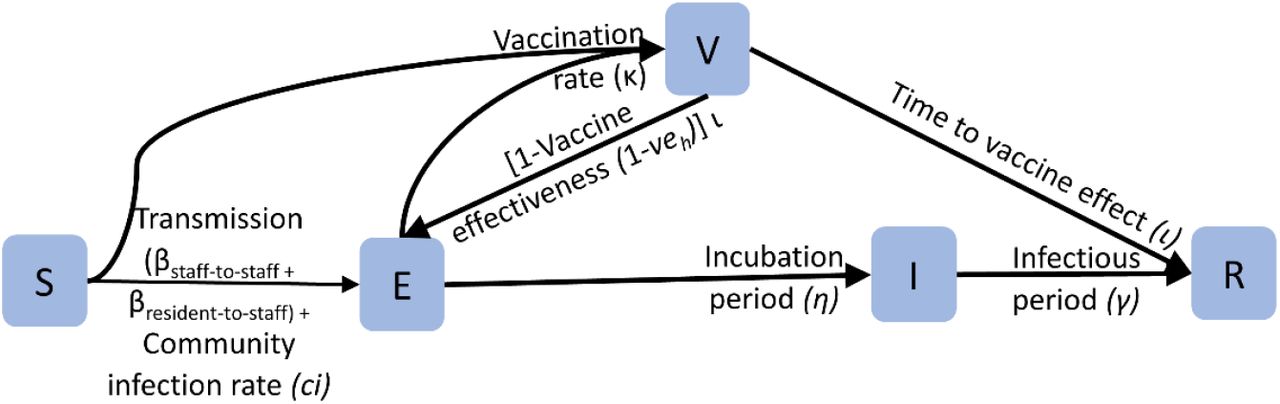 Schematic of the movement of staff between compartments of the susceptible (S), exposed (E), infectious (I), vaccinated (V), and immune (R).