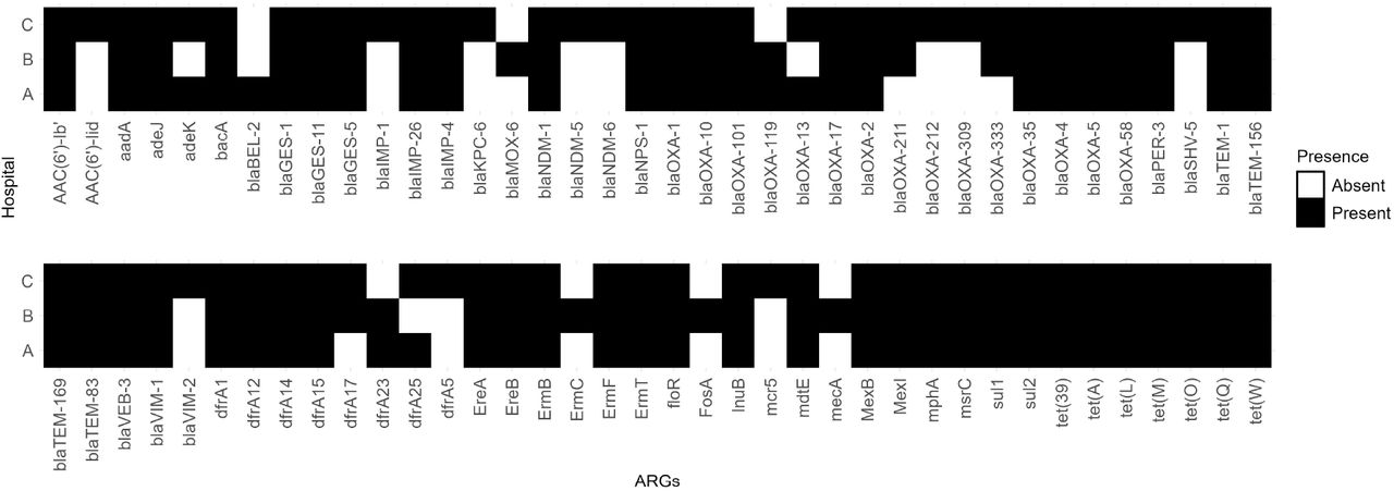 High-risk ARGs. Black boxes indicate the presence of ARGs for each hospital A, B, and C.