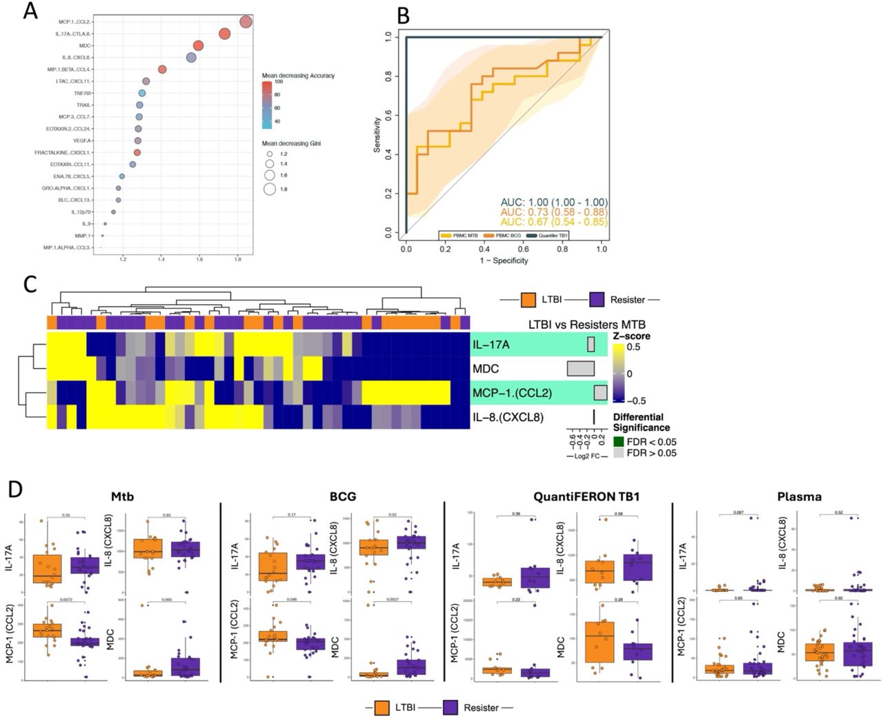 Identification of protein signature discriminating between Resisters and LTBI participants. A. Feature selection analysis identified markers discriminating between LTBI and Resister condition: Dot plot from the biomarker importance in the random forest model. Colors and dot size shows the Mean Decreasing Gene and Accuracy indexes from each variable. B. Receiver Operator Characteristics (ROC) analysis using the variables identified from dimensionality reduction concentrations to estimate the accuracy of the combined markers in discrimination of Resisters and LTBI with different stimuli. C. Heatmap of cytokines in protein signature from Mtb-stimulated PBMC. D. Boxplots of cytokines in protein signature in PBMC stimulated with Mtb and BCG, QuantiFERON stimulated with TB1 antigens, and plasma. Wilcoxon non-parametric test was applied to compare the LTBI and Resisters in each condition, without correction for multiple comparisons.
