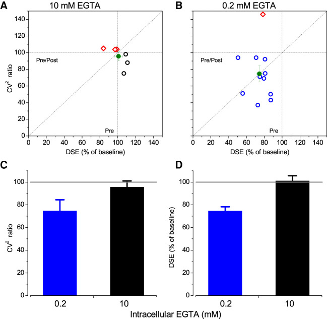 The Ca2+ influx dependence of DSE and its presynaptic site of effects in the LA. (A,B) Percentage of DSE and coefficient of variation (CV2) in individual interneurons analyzed using 10 mM EGTA (n = 6) and 0.2 (n = 11), respectively. The individual DSE and a decrease in CV2 ratio are shown (blue empty circle). Note a significant increase (red empty diamond) in CV2 ratio in one of interneurons. Mean DSE and CV2 ratio are shown with a single symbol (green filled circle) revealing the absence of DSE during intracellular Ca2+ chelation. Data are derived from experiments similar to Figures 4–7. The mean ± SEM bars are shown for both x and y directions. (C,D) Direct comparison of two conditions revealing a correlation between DSE and reduction in CV2 ratio. The CV2 ratio is derived form CV2 pre-/CV2 postdepolarizing step.