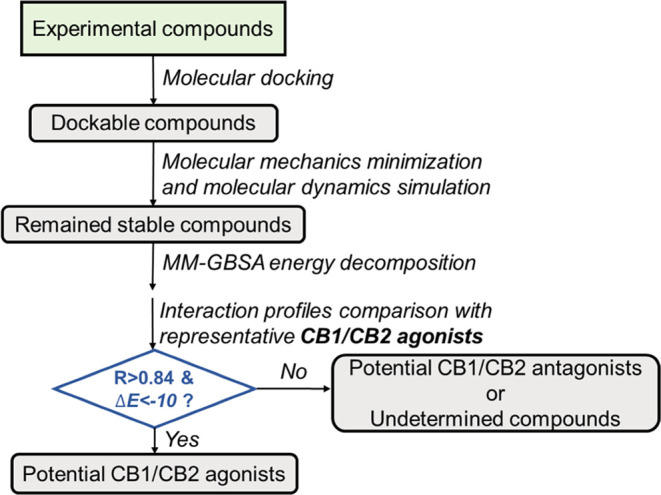 Flowchart for the determination of binding and function selectivity.