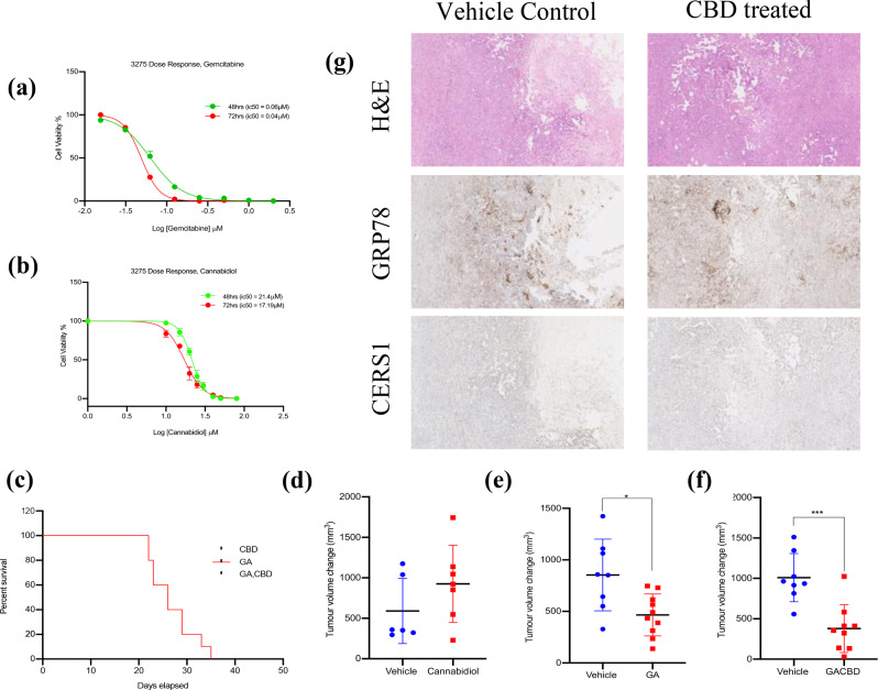 CerS1 upregulation may be needed to induce tumour reduction by cannabidiol (CBD) and increase survival in an in vivo model of PDAC. (a) Dose-response curve for gemcitabine treatment over 48 and 72 h. (b) Dose-response curve for cannabidiol treatment over 48 and 72 h. (c) Kaplan-meier curve for cannabidiol, gemcitabine and abraxane (GA) and gemcitabine, abraxane and cannabidiol (GACBD) groups. (d) Tumour volume change (mm3) for vehicle control group and cannabidiol treatment. (e) Tumour volume change (mm3) for vehicle control group and GA treatment. (f) Tumour volume change (mm3) for vehicle control group and GACBD treatment. (g) H&E and IHC staining for GRP78 and CerS1 in vehicle (control) and CBD treated tumours