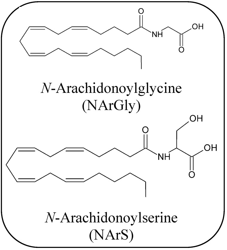 Chemical structures of some endocannabinoid-like molecules.