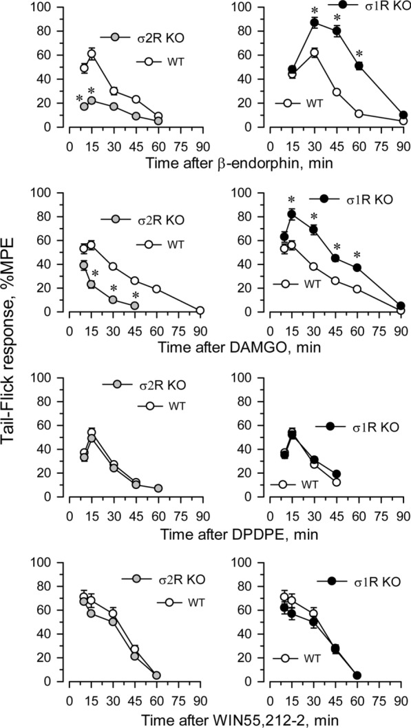 Effect of σ1R or σ2R deletion on analgesia induced by opioids and nonopioid compounds. Analgesic compounds were icv injected, and the time course of analgesia was evaluated in σ2R−/− (KO; left panel), σ1R−/− mice (KO; right panel) and corresponding wild-type mice (WT). Analgesia was determined by the warm water (52 °C) tail-flick test at the indicated intervals postinjection. The values are mean ± SEM of groups of 6–8 mice. * Indicates significantly different compared to WT mice; all data were analyzed by pairwise Holm-Sidak multiple comparison tests following ANOVA; p < 0.05
