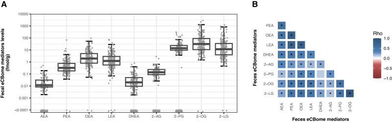 Interrelation of the fecal and the circulating eCBome mediator profile. (A) Boxplot of fecal eCBome mediator levels of NAEs and 2-MAGs. (B) Heatmap representation of Pearson's correlation coefficients between eCBome mediators in the feces (n = 195). *Significant correlation coefficient (P < .05).