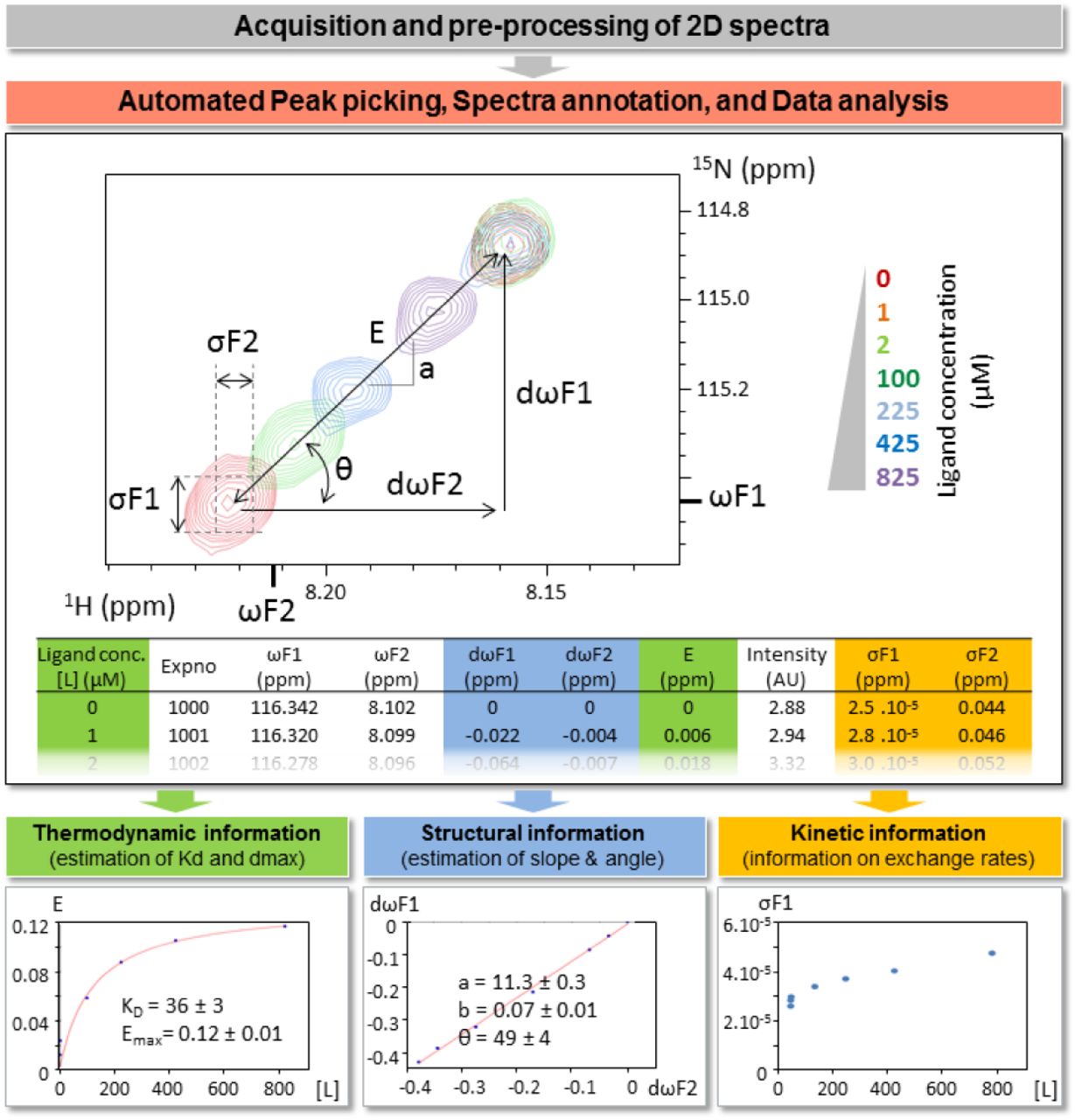 Workflow implemented in InterAct to analyze 2D NMRMR titration experiments.NMR spectra are first acquired, Fourier-transformed, phased, baseline-corrected and referenced using TopSpin. InterAct then performs peak picking and spectra annotation, and extracts several parameters of each signal of interest in each experiment (ωF1, ωF2: chemical shifts; σF1, σF2: linlinewidths; I: intensity). These results are then integrated to infer thermodynamic, structural and kinetic aspects information (dσF1, dσF2, dωF1, dωF2: ligand-induced changes of linewidths and chemical shifts; E: Euclidian distance; a, θ: slope and angle of changes of chemical shifts; Kd: dissociation constant).