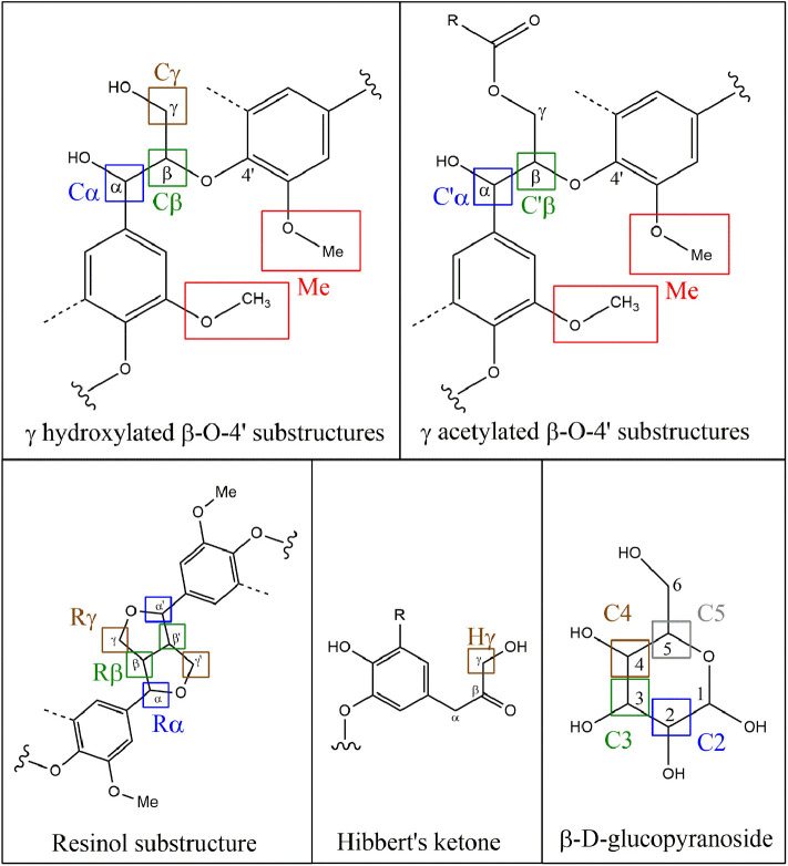 Representation of the main chemical structures in lignin observed in 2D HSQC NMR.