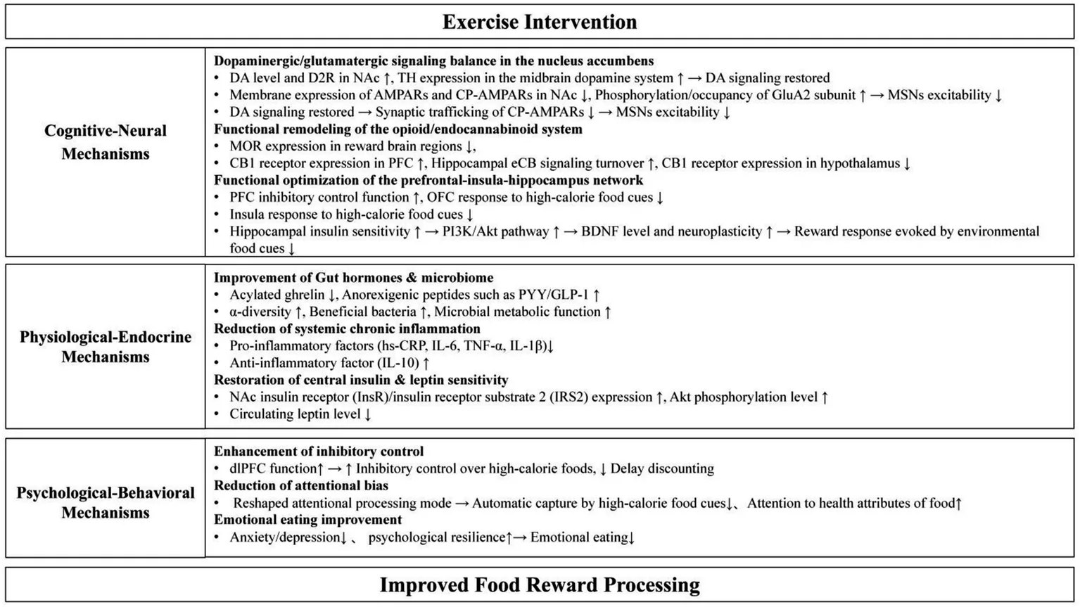 Chart summarizing how exercise interventions improve food reward processing by enhancing cognitive-neural, physiological-endocrine, and psychological-behavioral mechanisms through changes in neurotransmitters, hormone balance, inflammation reduction, attentional bias, and emotional regulation.