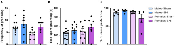 Sucrose Splash and Sucrose preference tests. Investigation of depression-related behaviours following Sham or Spared Nerve Injury surgery in male and female rats. Frequency of grooming (A) and cumulative time of grooming (s) (B) after sucrose splash exposure, at post-surgery day 28. All the behaviours were analysed during the first 10 min of trial. Percentage of sucrose consumption (C) at post-surgery day 34. Percentage of sucrose preference was calculated in each pair-housed cage as: [sucrose intake (g)/total intake (g)] × 100 (see section Sucrose preference Test in Material and Methods for further information). Data expressed as mean ± SEM (sucrose splash test: n = 10 per group; sucrose preference test: n = 5 per group).