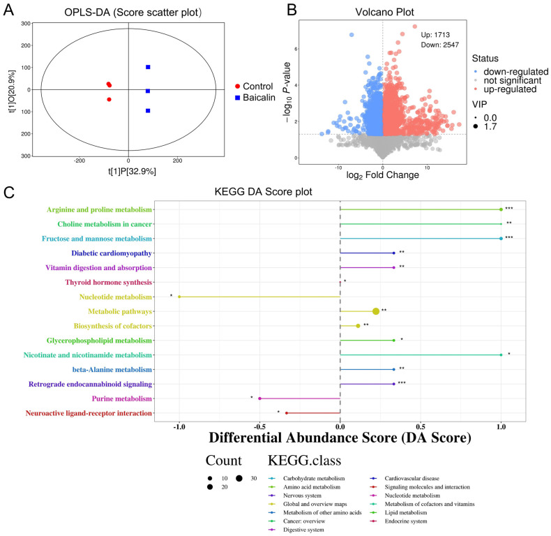 Effects of baicalin on differential metabolites (DMs) in FLS. (A) OPLS-DA score plot, showing separation between Control (red) and Baicalin (blue) groups. (B) The metabolite volcano plot. Red bubbles represent upregulated metabolites and blue bubbles represent downregulated metabolites. (C) KEGG differential abundance score, quantifying differences in the abundance of metabolites within specific KEGG pathways between the Baicalin and control groups. * p < 0.05, ** p < 0.01,*** p < 0.001.