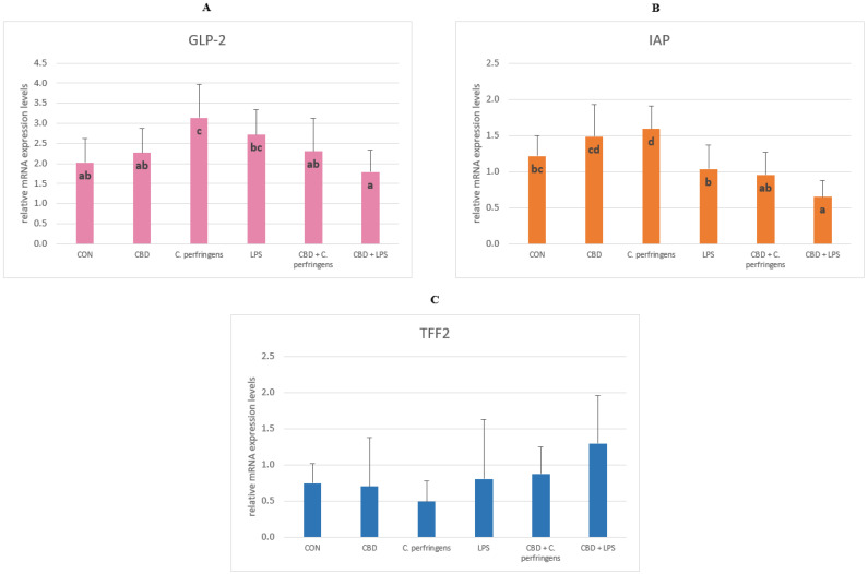 The relative mRNA expression levels (normalized to the glyceraldehyde-3-phosphate dehydrogenase and β-actin expression levels as the most accurate endogenous control gene) of (A) glucagon like peptide 2 (GLP-2), (B) intestinal alkaline phosphatase (IAP), and (C) trefoil factor 2 (TFF2) in the jejunum tissue of chickens. The chickens were fed a control diet (CON), CON supplemented with 30 g of hemp extract/kg diet (CBD), CON diet and subjected to E. coli LPS and C. perfringens challenge (LPS and C. perfringens), and CON diet supplemented with 30 g of hemp extract/kg diet and subjected to E. coli LPS and C. perfringens (CBD + LPS and CBD + C. perfringens). Significant differences are indicated by different letters (p < 0.05). The error bars indicate the pooled standard deviations in each dietary treatment group for the eight chickens.