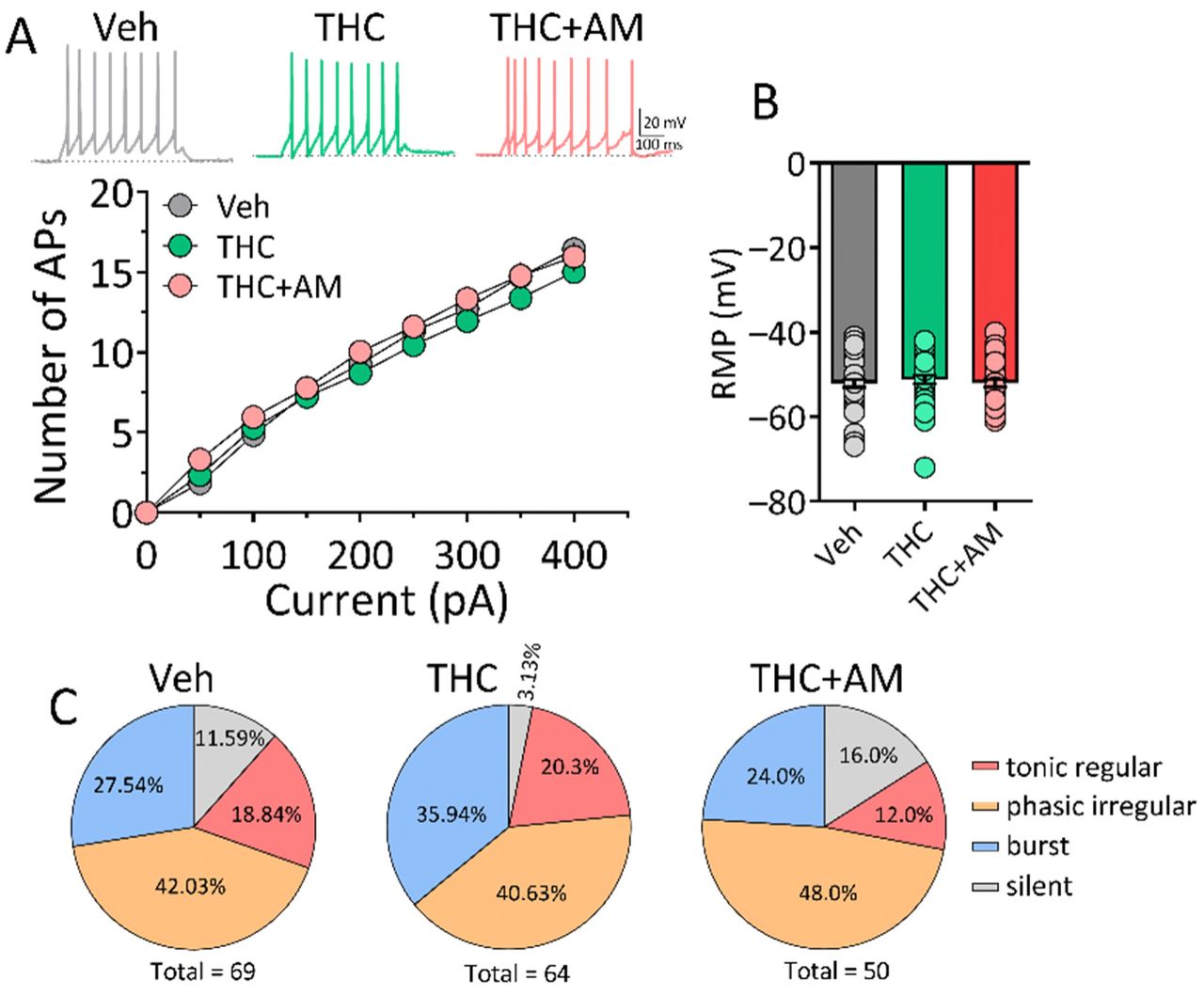 No change in active or passive membrane properties of LHb neurons at 1d Δ9-THC withdrawal. A. Unaltered relationship between injected current amplitude and AP number in all 1-d withdrawal treatment groups. B. No change in resting membrane potential across all withdrawal treatment groups. C. No change in spontaneous firing patterns of LHb neurons during withdrawal from all treatment conditions in vitro (X2 = 5.70, p = 0.1272. nrats/nneurons: A-B, Veh = 10/47, THC = 11/49, THC+AM = 10/47.