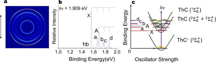 Photoelectron spectrum of ThC−.a Photoelectron images, b spectra for ThC− at photon energy hν = 1.909 eV and c the energy level Schematic for the ground state ThC− (2Σ0+) → ThC (3Σ0+ + 3Σ1+) transition and first excited state ThC− (2Σ0+) → ThC (1Σ0+) transition processes, the transitions are labelled to match the corresponding peaks in b. The vertical lines in b represent vibrational structures, and the double arrow on the left of the image in a indicates the laser polarization. Source data are provided as a Source data file.