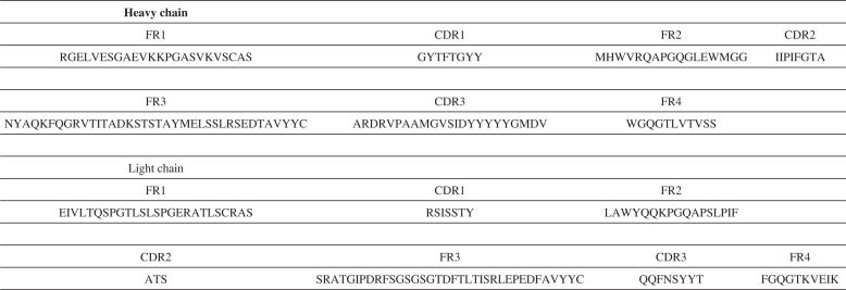 Amino acids sequence of A4 CDR and FR delimitations were from the IMGT V domain directory