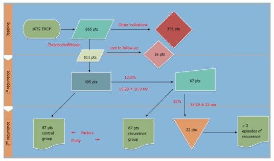 Study flowchart. ERCP: Endoscopic retrograde cholangiopancreatography.