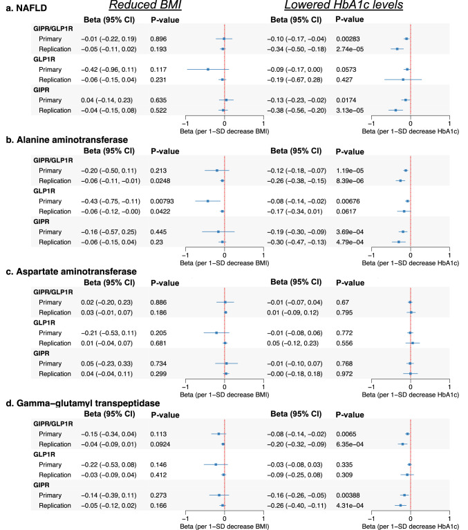 Drug-target MR estimates of GIPR and GLP1R agonism on liver disease risk and serum enzyme levels.This figure presents MR estimates assessing the effects of GIPR, GLP1R, and dual GIPR/GLP1R agonism on the multi-trait NAFLD GWAS (see Methods), serum alanine aminotransferase levels, aspartate aminotransferase, and serum gamma-glutamyl transpeptidase levels. Results are shown separately for genetically proxied reductions in BMI and HbA1c levels, two primary mechanisms through which these agonists exert their clinical effects. Beta values and 95% confidence intervals (CI) are displayed, with MR estimates derived from biomarker (BMI or HbA1c) data using the primary and independent replication data sources (described in the Methods and Table 1). GIPR glucose-dependent insulinotropic polypeptide receptor, GLP1R Glucagon-like peptide-1 receptor, HbA1c glycated hemoglobin; BMI body mass index, CI confidence interval.