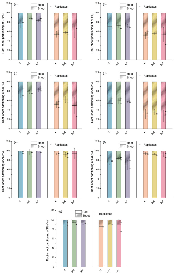 Root–shoot partitioning of (a) Cr, (b) Ni, (c) Cu, (d) Zn, (e) As, (f) Cd, and (g) Pb expressed as percentage contributions to total uptake across all investigated treatments. Bars represent mean values (n = 3), with individual replicates shown as horizontal tick marks.