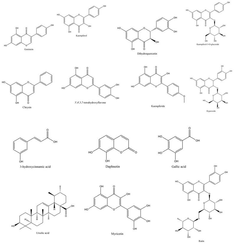 Chemical structures of flavonoids and flavonoid glycosides expected to be found in C. juncea root extract.