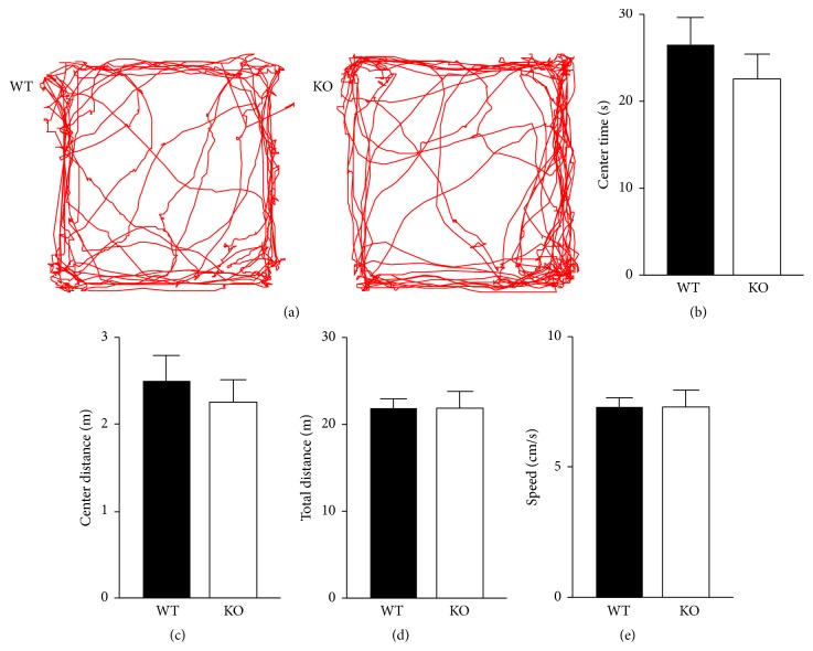 The levels of motor activity and anxiety assessed in an open field arena are normal in CB2R KO mice. (a) Representative tracking of mouse movement for 5 min in an open field arena (40 × 40 cm2). (b–e) During the 5 min exploration period, KO and WT mice showed no significant difference from each other in the time spent in the center area (20 × 20 cm2) of the arena (b), the travel distance in the center area (c), the total travel distance in the arena (d), or the mean speed of movement (e). Error bars represent SEM.