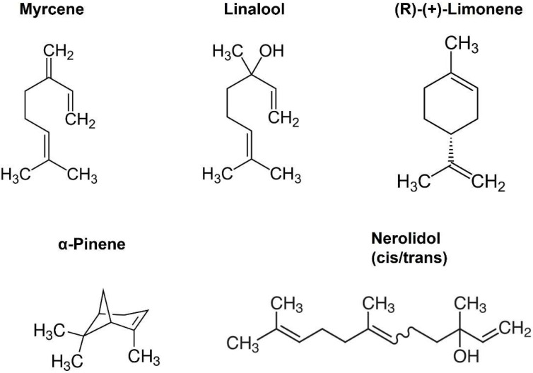 Structures of selected terpenoids.