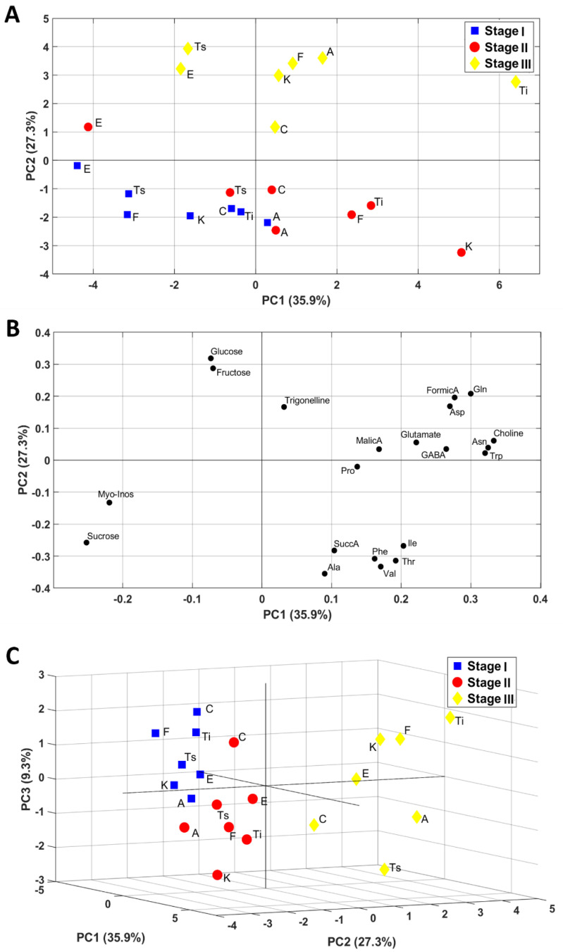 Principal components analysis (PCA) maps obtained using NMR data of inflorescences samples: (A) scores plot and (B) loadings plot relative to PC1 and PC2 (PCs); (C) score plot relative to PC1, PC2, and PC3. PC1, PC2, and PC3 represent 35.9%, 27.3%, and 9.3% of the total variance, respectively.