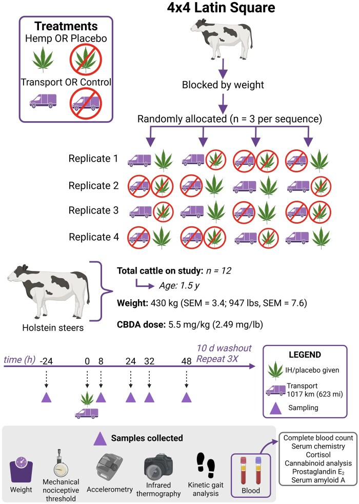 Diagrammatic representation of treatment sequences and study design. Created in BioRender. Fritz, B. (2025) https://BioRender.com/1ofwnvz and https://BioRender.com/9xrpvsi