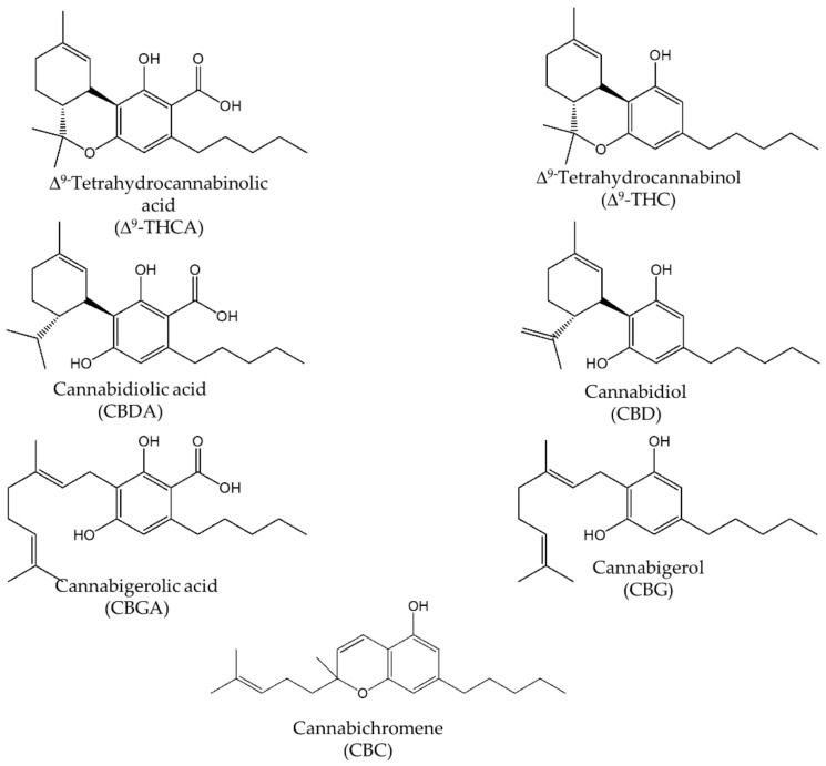 Chemical structures of main cannabinoids present in Cannabis sativa L.