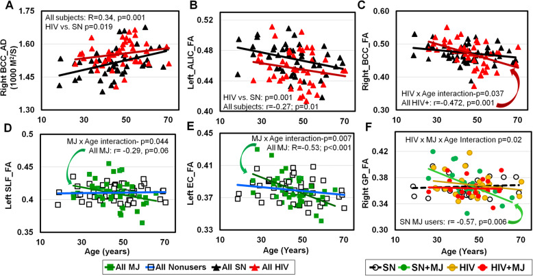 Correlations between DTI metrics and age. A Despite the higher AD in HIV than SN (regardless of MJ use), the two groups showed similar slopes for age-dependent increases in AD. The AD in the body of the corpus callosum (BCC) is illustrated as an example. B Although HIV+ had lower FA than SN, both groups (regardless of MJ use) showed similar age-dependent declines; see in left anterior limb of the internal capsule (ALIC) FA for example. C Greater age-related declines in the BCC FA were observed in HIV+ individuals, with or without MJ use, than SN subjects (HIV × age-interaction p = 0.037). D, E Compared to all nonusers (blue line), MJ users with or without HIV (dark green line) showed greater age-related declines in FA in left superior longitudinal fasciculus (SLF: MJ × age-interaction p = 0.044) and left external capsule (EC: MJ × age-interaction p = 0.007). F Age-related decline in the right GP_FA was observed in SN-MJ users only (3-way interaction p = 0.02); the other three groups already showed lower levels of FA at younger ages. SN, HIV-seronegative nonuser group; SN + MJ, HIV-seronegative marijuana user group; HIV, HIV-seropositive nonuser group; HIV + MJ, HIV-seropositive marijuana user group