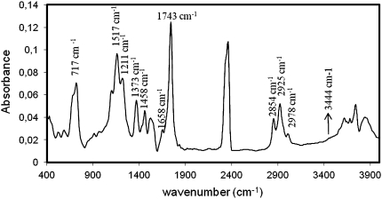 FTIR spectrum of non-oxidized stinging nettle oilseed