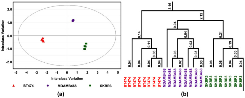 Effect of 4-oxo-DHA on Growth Factor Signaling. Levels of cell proliferation or apoptosis and associated target proteins in three human breast cancer cell lines (BT474, SKBR3, and MDAMB468); (a) Orthogonal projections to latent structures-discriminant analysis (OPLS-DA) shows a 3-class supervised model and partition the sources of variation; (b) To visualize the misclassification rate, the dendrogram depicts hierarchical clustering patterns among three different cell lines.