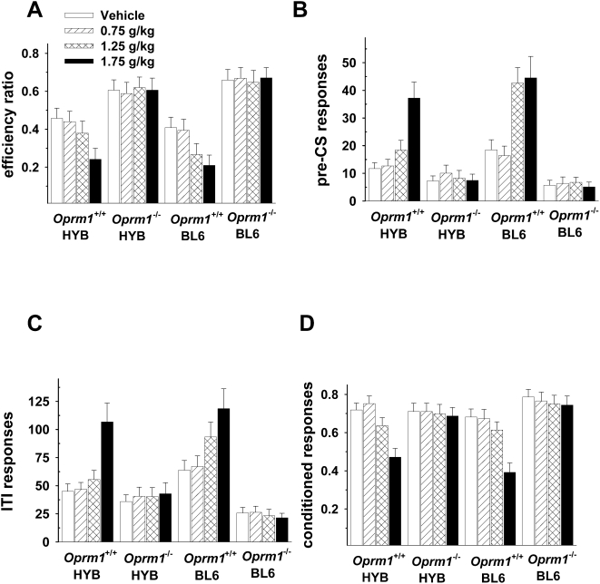 Oprm1 −/− mice are not affected by ethanol in the signaled nose poke task.A: Efficiency ratios (rewards/nosepokes) decreased with increasing doses of ethanol, but only in wild-type mice. B: The same effect was observed during the pre-CS period. There were no significant strain differences on any behavioral measure during ethanol testing, nor were there any strain-dose interactions. C: Ethanol increased nose pokes that occurred during the inter-trial interval (ITI) in wild-type but not knockout animals. D: Ethanol also altered conditioned responses in Oprm1 +/+ , but not Oprm1 −/− mice. The highest dose of ethanol (1.75 g/kg) produced the greatest effect on conditioned responses in wild-type mice. Oprm1 +/+ HYB, n = 11; Oprm1 +/+ BL6, n = 12; Oprm1 −/− HYB, n = 10; Oprm1 −/− BL6, n = 11.