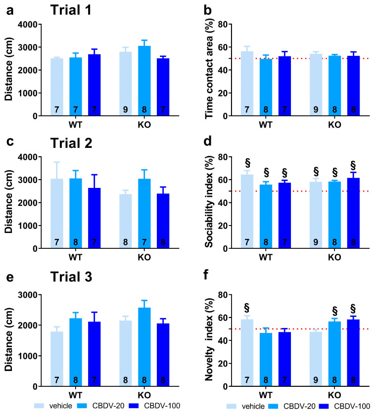 Effects of juvenile chronic CBDV administration on sociability and social novelty preference in the three-compartment paradigm (Study 2). Locomotion (a,c,e), percent sociability (b,d) and social novelty recognition (f) scores are shown for each of the three 5 min trials of the test. These included a first trial of habituation to the apparatus containing the empty stimulus cages (a,b), a second trial of sociability (c,d) aimed at assessing the percent preference for a social versus non-social novel stimulus (juvenile male mouse versus inanimate object) and a third trial of social novelty preference (e,f) assessing the percent preference for a novel versus familiar stimulus mouse. Data are expressed as mean ± SEM. Numbers in histograms indicate sample size for each group. § versus chance level (50%, red dotted line).