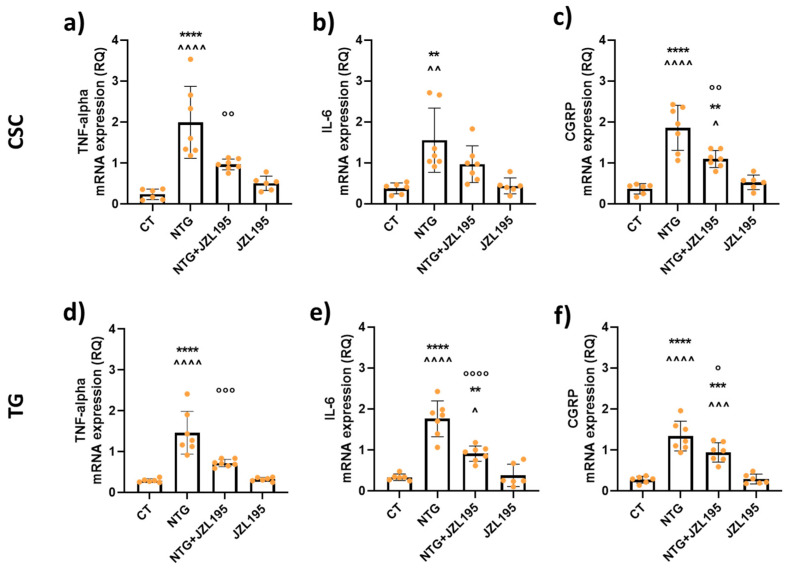 Cytokine gene expression levels in cervical spinal cord (CSC) and trigeminal ganglion (TG) ipsilateral to formalin injection. Male Sprague–Dawley rats were treated with JZL195 at a dose of 3 mg/kg (i.p.) dissolved in a volume of 2 mL/kg of vehicle (Tween-80/polyethylene glycol 200/saline). Rats underwent the orofacial formalin test 4 h after NTG and vehicle injection. All animals were sacrificed at the end of the formalin test to evaluate mRNA expression levels in peripheral and central areas. TNF-alpha (a,d), IL-6 (b,e), and CGRP (c,f) mRNA levels are expressed as relative quantification (RQ). Data are expressed as mean ± SD. One-way ANOVA followed by Tukey’s multiple comparisons test; ** p < 0.01, *** p < 0.001, and **** p < 0.0001 vs. CT; ^ p < 0.05, ^^ p < 0.01, ^^^ p < 0.001, and ^^^^ p < 0.0001 vs. JZL195; ° p < 0.05, °° p < 0.01, °°° p < 0.001, and °°°° p < 0.0001 vs. NTG. CT: control group (n = 6); NTG: nitroglycerin group (n = 7); NTG + JZL195: nitroglycerin + JZL195 group (n = 7); JZL195: nitroglycerin vehicle + JZL195 group (n = 6).
