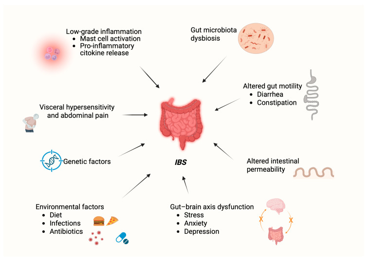 Main pathogenetic features and risk factors contributing to Irritable Bowel Syndrome (IBS). Created in BioRender. Gabbia, D. (2025) https://BioRender.com/ir12zjv.