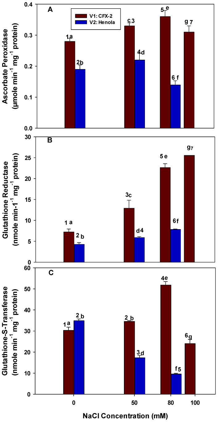 The effects of NaCl on IH leaf APX-specific activity (Panel (A)), GR-specific activity (Panel (B)), and GST-specific activity (Panel (C)). Vertical bars represent SE. Different lowercase letters indicate significant differences among the varieties, and different numerals represent significant treatment differences. These mean values (n = 15) are separated using LSD at p < 0.05. Data at 100 mM NaCl are given for V1 only, as plants did not survive in V2 at this NaCl concentration. Interactions were non-significant.