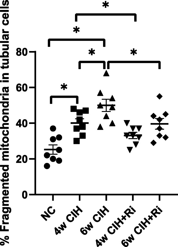 Quantitative analyses of the percentage of fragmented mitochondria in an average tubular cell in each group. Data are expressed as means ± SEM, n = 8,*p < 0.05