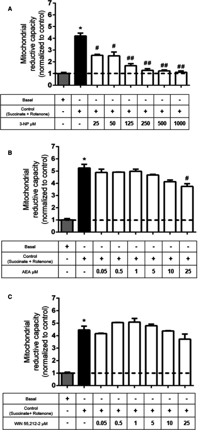 In A, the concentration–response effect of 3-nitropropionic acid (3-NP) on mitochondrial reduction capacity in rat brain mitochondria. Bars represent mean values ± SEM of n = 3 experiments per group. *p ≤ 0.0001, different from the basal condition (mitochondria incubated only with MIB; gray bar); #p ≤ 0.001 and ##p ≤ 0.0001, different from control mitochondria (black bar). One-way ANOVA followed by Tukey’s test. In B and C, the concentration effects of anandamide (AEA) and WIN 55212–2, respectively, on mitochondrial activity. Bars represent mean values ± SEM of n = 3 experiments per group. *p ≤ 0.0001, different from the basal condition (mitochondria incubated only with MIB; gray bar); #p < 0.05 different from control. One-way ANOVA followed by Tukey’s test