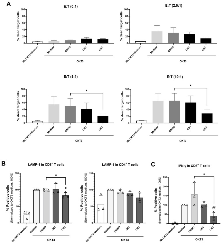 Effect of CB1 and CB2 agonists on cytotoxic function of T cells. We used CFSE-labeled P815 cells as target cells and investigated cytotoxic activity of T cells by co-culture of PBMCs (effector cells) with anti-CD3 mAb OKT3 and P815 target cells at various effector to target (E:T) ratios in the presence of 20 µM CB1 agonist ACEA or CB2 agonists GW833972A, the relevant concentration of DMSO, or medium control for 24 h. (A) The bar graphs report the percentage of dead target cells (CFSE+7-AAD+) as mean ± SD (n = 3). (B) The bar graphs exhibit the percentage of LAMP-1 positive in CD8+ T cells and CD4+ T cells (n = 3) and (C) IFN-γ- positive in CD8+ T cells (n = 3). The data were analyzed as the percentage of positive cells (% specific marker mAb staining–% isotype-matched control mAb staining). The bar graphs report the percentage of positive cells under the indicated conditions as mean ± SD. A triangle represents an individual datum. Each individual datum was normalized relative to its medium control (OKT3 + Medium) as 100%. All experiments, used unpaired t-test to compare the DMSO control with the tested conditions. * p < 0.05. We used unpaired t-test to compare the medium control and tested conditions. # p < 0.05; ## p < 0.01.