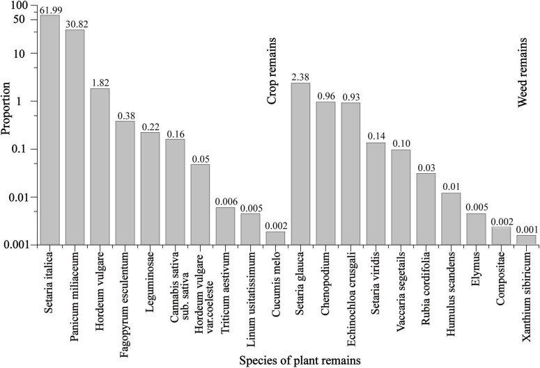 The proportion of different plant remains from the Chashancun cemetery.