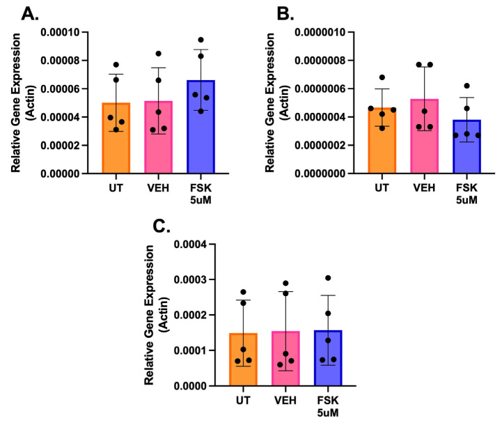 Endogenous expression of cannabinoid receptor type 1 (CNR1) gene after 24 h treatment with 5 µM forskolin (FSK) in HEK293T, HCT116 and SHSY5Y. All three cell lines were untreated (UT), treated with DMSO (VEH), or 5 µM forskolin (FSK) for 24 h. The expression of CNR1 was measured and plotted against the relative expression of actin of HEK293T (A), HCT116 (B), or SHSY5Y (C). Data are represented as mean ± S.D. with individual replicates shown (N = 5). The statistical differences were evaluated by ordinary one-way ANOVA followed by Tukey’s multiple comparison test for each cell line (no significance).