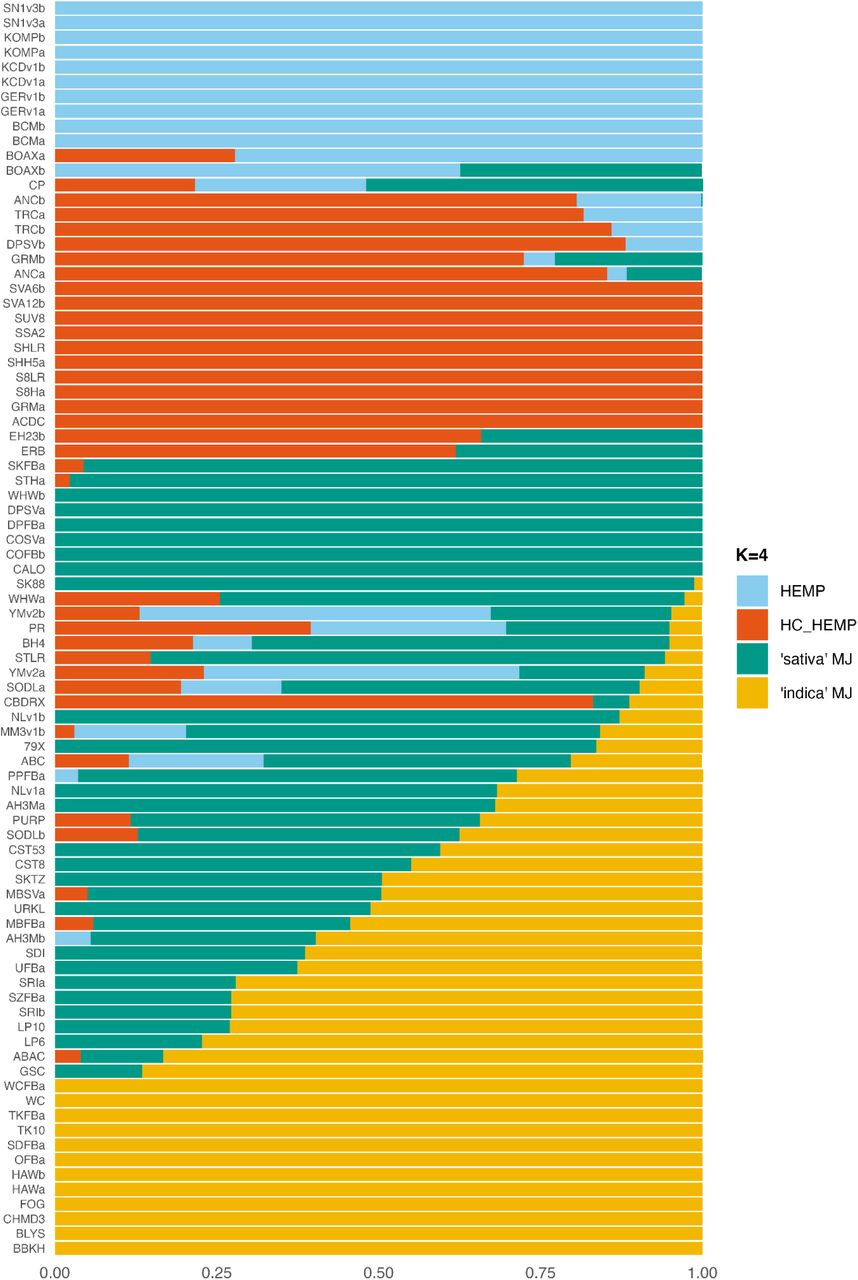Admixture analysis of 85 Cannabis genomes with k=4. Genotype codes are listed and described in Supplemental Table 1.