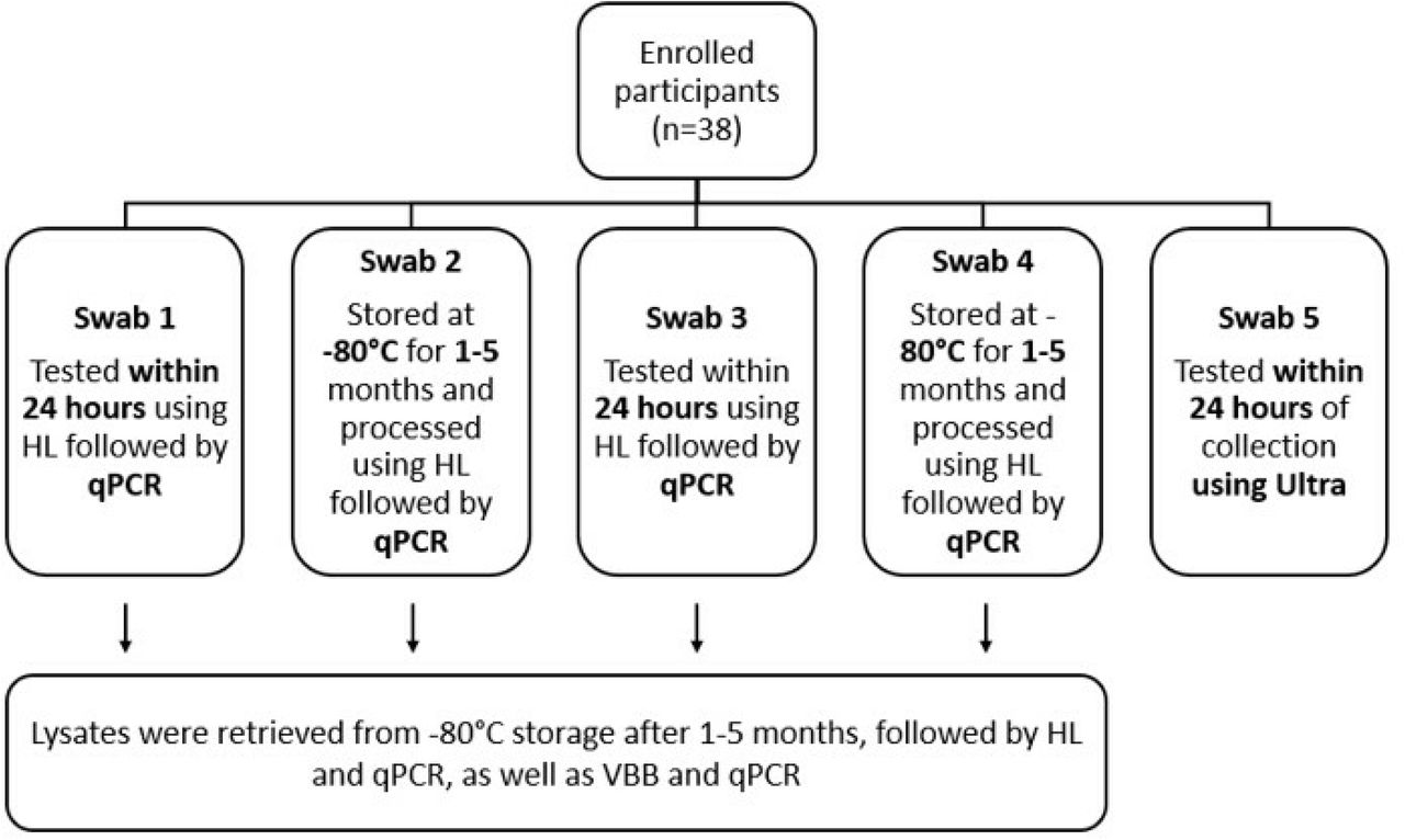 Schematic of tongue swab collection and testing strategy for participants enrolled in Phase 1 (n=38).Swabs 1, 3, and 5 were tested within 24 hours of collection using either quantitative PCR (qPCR) or Xpert MTB/RIF Ultra (Ultra). Swabs 2 and 4 were stored at −80°C for 1–5 months prior to testing by qPCR. All swabs processed by qPCR were initially subjected to heat lysis (HL); stored lysates were then subjected to an additional HL step followed by vortex bead beating (VBB).
