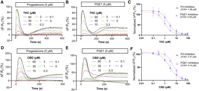 The action of delta-9-tetrahydrocannabinol (THC) and cannabidiol (CBD) on progesterone (P4)- and prostaglandin E1 (PGE1)-evoked Ca 2+ influx in human sperm. Representative Ca2+ signals in human sperm evoked by P4 (5 µM) and PGE1 (5 µM) in the absence (0 µM) and presence of increasing concentrations of (A, B) THC or (D, E) CBD. Sperm were incubated for ≥5 min with phytocannabinoids prior to the addition of P4 or PGE1. Dose–response curves for signal amplitudes normalized to buffer control (set to 100%) are generated for (C) THC showing the P4 inhibition (IC50 = 1.88 ± 1.15 µM; n = 6) and the PGE1 inhibition (IC50 = 0.98 ± 1.10 µM, n = 5). Similar dose–response curves were generated for (F) CBD showing the inhibition of P4 (IC50 2.47 ± 1.12 µM, n = 5) and PGE1 responses (IC50 = 6.14 ± 1.08 µM, n = 6). Dots in panels (C) and (F) represent mean values ± SD.