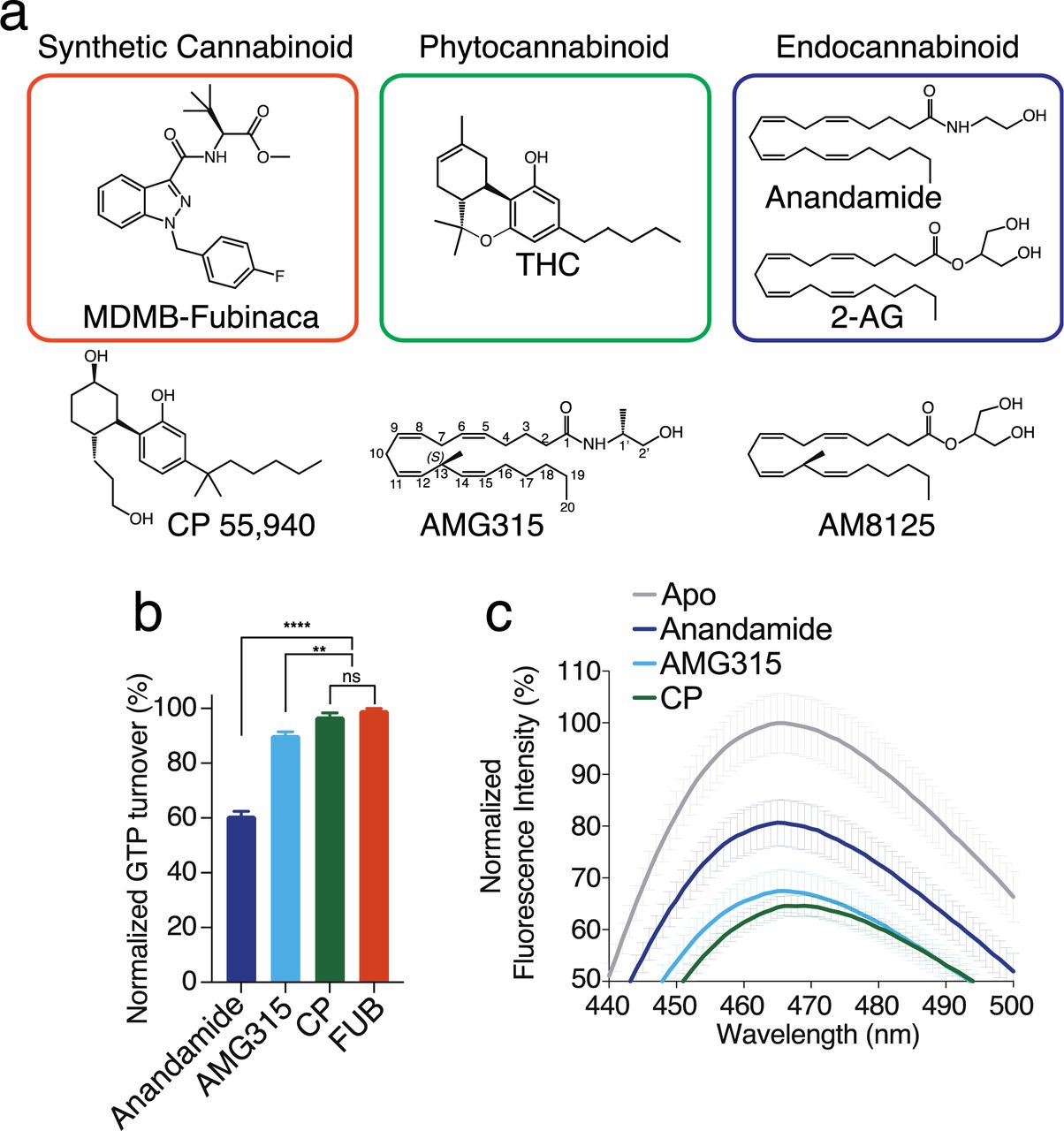 a. Chemical Structures of a synthetic cannabinoid (FUB), Phytocannabinoid (THC) and endocannabinoids (Anandamide and 2-AG). Structures of analogues of phytocannabinoid (CP 55, 940) and endocannabinoid (AMG315 and AM8125) used in this study.b. GTP turnover assay showing efficient turnover produced by CP, AMG315 and anandamide with Gi1 (Data normalization done with FUB as 100% and receptor alone as 0%). (Mean ± SD, p < 0.0001**** and p < 0.01**, t-test)c. Bimane spectra monitoring TM6 showing differences between anandamide-bound CB1 compared to with CP and AMG315.